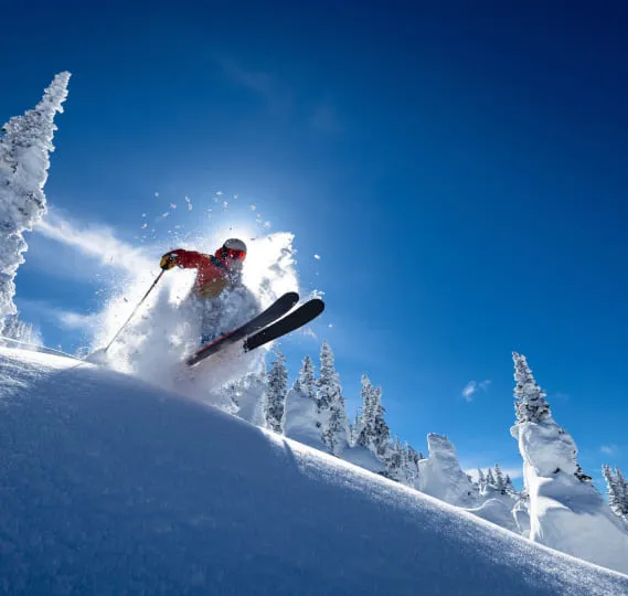 Skieur en action montagne