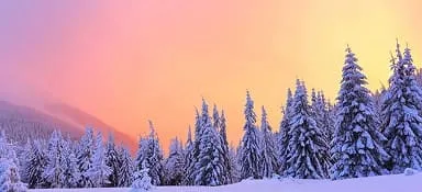 Assurance ski annuelle