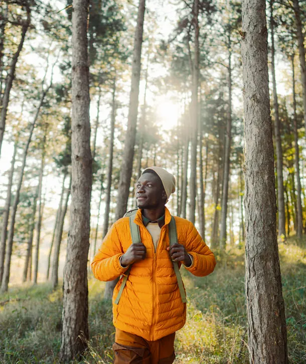 Voyageur en forêt