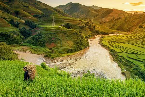 Voyage au Vietnam : le guide pratique complet pour partir en 2026