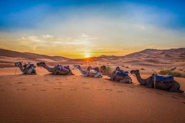 Quels sont les attrape-touristes et les arnaques les plus fréquents au Maroc ?